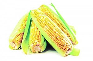 Get corny