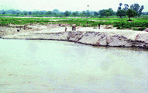 Floods leave Yamuna glittering and fertile