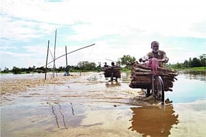 Kaziranga drive to mitigate casualties