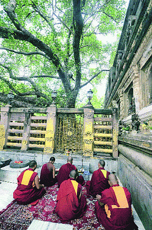 leT-trained  Rohingyas hit  Gaya temple!