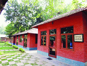 NDMC to give gardening lessons to DU students