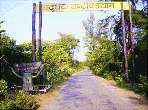 Monsoon patrolling for Dudhwa reserve