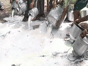 4 lakh worth synthetic milk ingredients seized