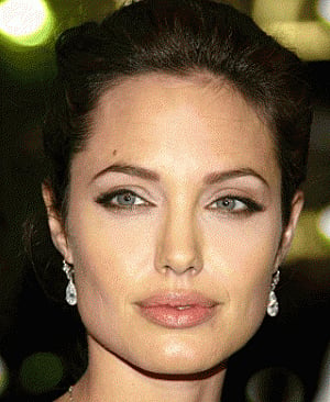Brad Pitt buys private jet for Angelina