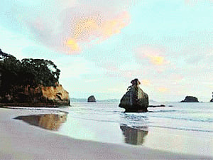 What's in a name, for New Zealand?
