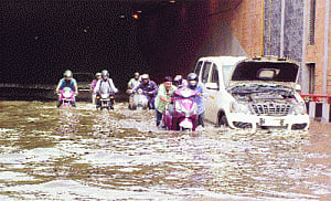 HC lands civic bodies in deep water