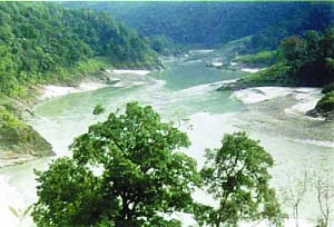 Debatable forest land diversions confront FAC