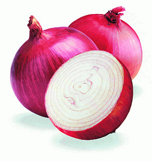 'People crying over pricy onion; cut export to help'