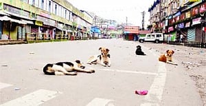 HC raps GJM for calling complete 'public curfew'