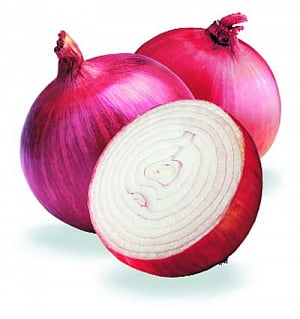 Worried CM tries to dilute onion sting