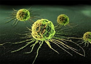 Ageing gene may be behind blood cancer