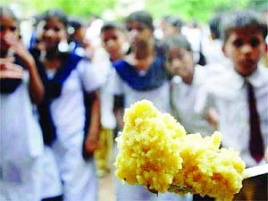 Ban monocrotophos pesticide: UN to India