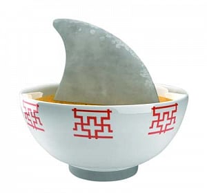Shark de-finning to land you in soup!