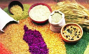 Food security is fine, but where's storage space?