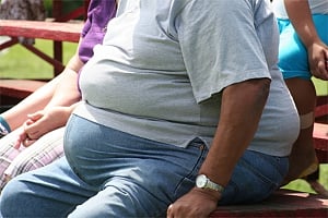 High-fat diets interrupt stomach's signals to the brain:Study