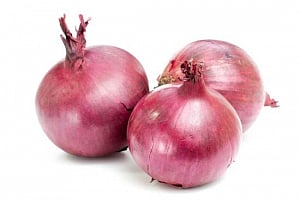 Onions prices to ease in 2-3 weeks on fresh output: Pawar
