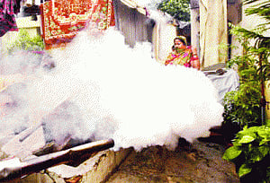 Mosquito breeding stings two health officials of NMC