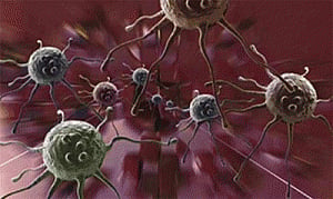 Proteins that help brain tumours spread identified
