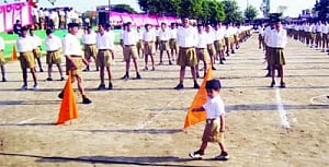Kashmir's accession was 'unconditional': RSS chief