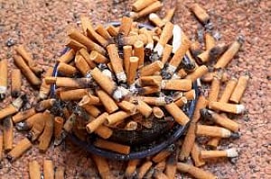 Smoking pot may lead to nicotine addiction