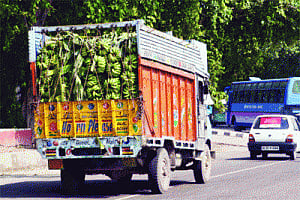 Commercial vehicles do not have licence to kill