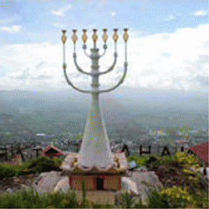 Indian Jews here must play a role akin to diaspora in US:envoy