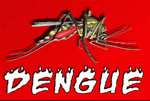 Dengue cases in Delhi cross 3,000 mark