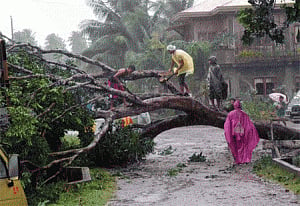 Eight dead, millions without power as typhoon hits Philippines