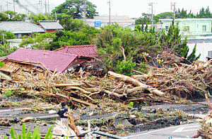 Japan typhoon: 17 killed, toll to rise