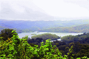 Political war in Kerala over Western Ghats' conservation
