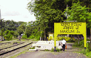 Homecoming: Chinese to revisit birthplace in Assam