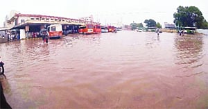 Heavy rain continues to batter Andhra