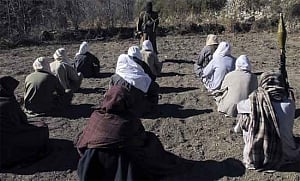 Pakistan still supports terror operations in India: US expert