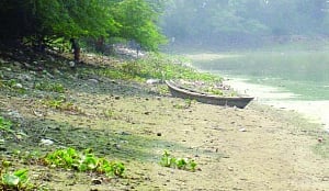 Humans taking a toll on Okhla sanctuary