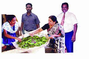 Eco-friendly makeover for silk industry