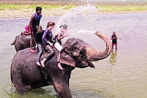 In the footsteps of Gajagamini