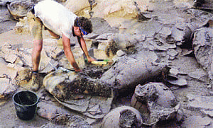 3,700-yr-old wine  cellar in Israel  leaves historians  in good spirits
