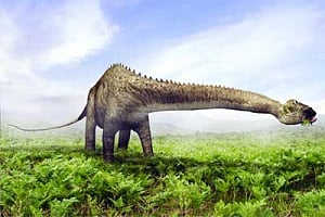 Dinosaur skeleton to fetch up to £600,000 at auction