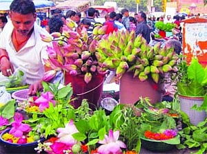Not a rosy picture, threefold bloom in flower rates
