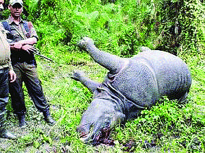 Jungle warfare training for Assam Forest force soon
