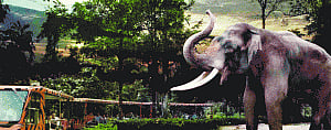 Gurgaon apes Gr Noida, to have night safari