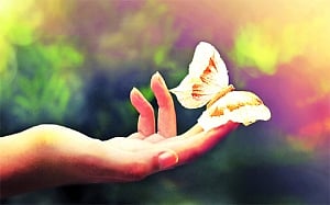 The art of letting go