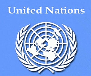 Indian economy to grow 5.3 percent in 2014: UN