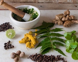 Taking Ayurveda to every home