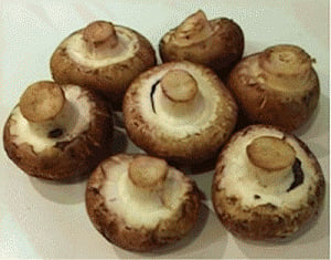 Now, bask in mushrooms to get Vitamin D!