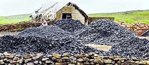 5 coal miners killed in Meghalaya mine mishap