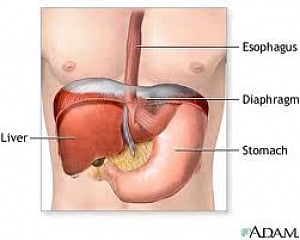 Prevent stomach cancer, says Nobel laureate