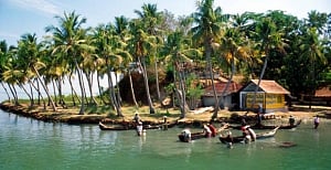 Kerala, Australia to work together on IT