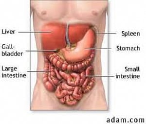 Scientists see genetic link to rare liver disorder