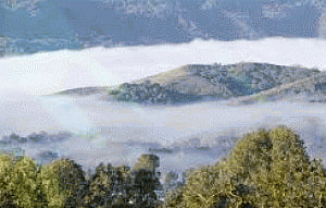 Pollution has cooling effect on climate?